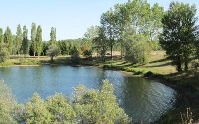 Atlas de la biodiversité de Belleville-en-Beaujolais