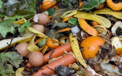 La collecte séparée des déchets alimentaires arrive sur la commune !