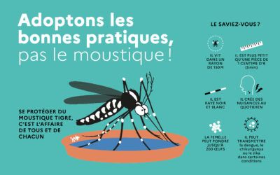 Intensifier ensemble la lutte contre le moustique tigre
