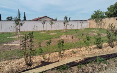 Appel à bénévoles – Chantier participatif à Pizay