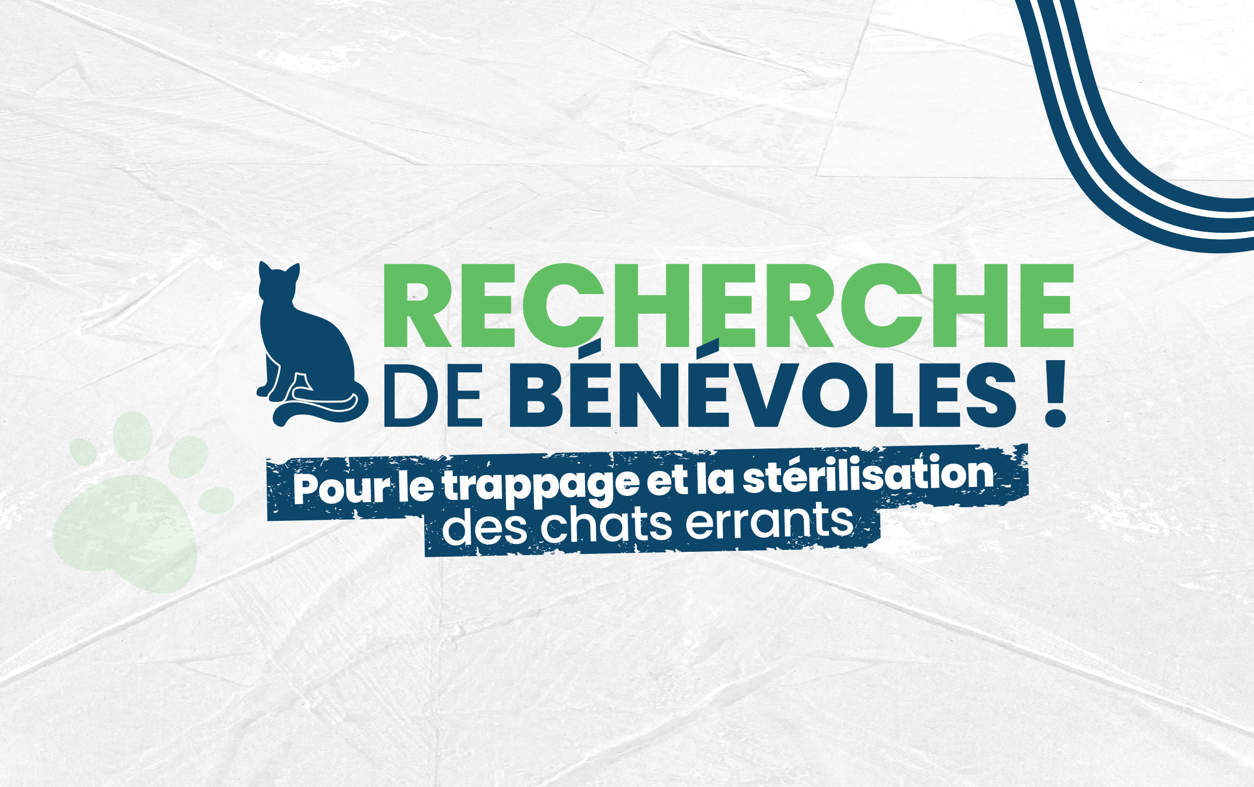 SITE WEB_VISUEL bénévoles